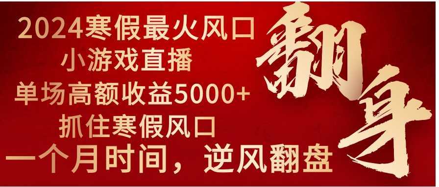 2024年最火寒假风口项目 小游戏直播 单场收益5000+抓住风口 一个月直接提车