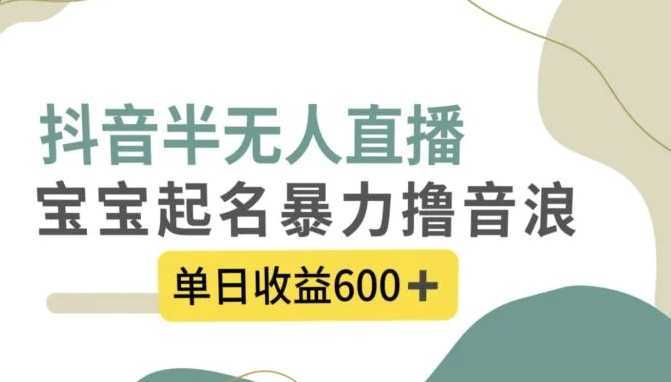 抖音半无人直播，宝宝起名，暴力撸音浪，单日收益600+