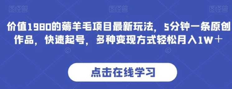 价值1980的薅羊毛项目最新玩法，5分钟一条原创作品，快速起号，多种变现方式轻松月入1W＋【揭秘】