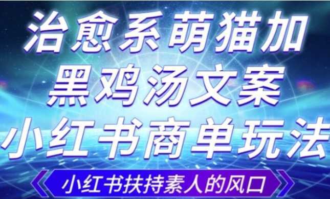 治愈系萌猫加+黑鸡汤文案，小红书商单玩法，3~10天涨到1000粉，一单200左右