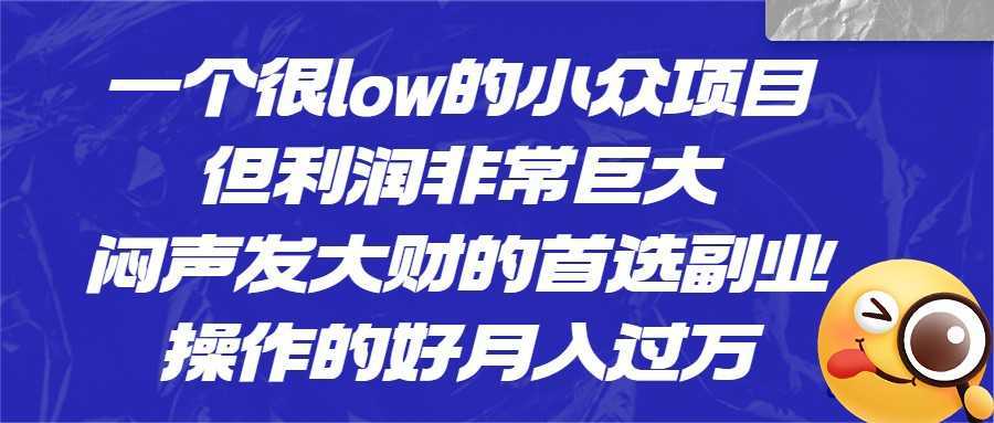 一个很low的小众项目，但利润非常巨大，闷声发大财的首选副业，月入1W+