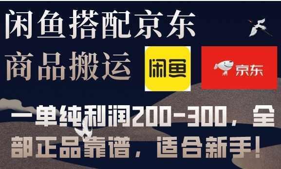 闲鱼搭配京东备份库搬运，一单纯利润200-300，全部正品靠谱，适合新手！