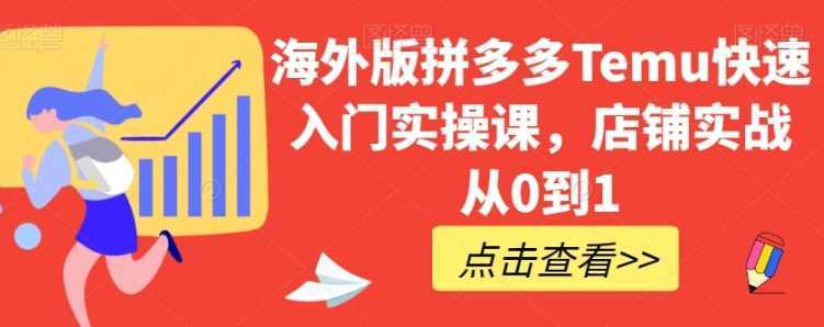 海外版拼多多Temu快速入门实操课，店铺实战从0到1