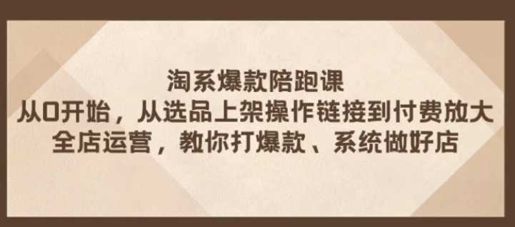 淘系爆款陪跑课 从选品上架操作链接到付费放大 全店运营 打爆款 系统做好店