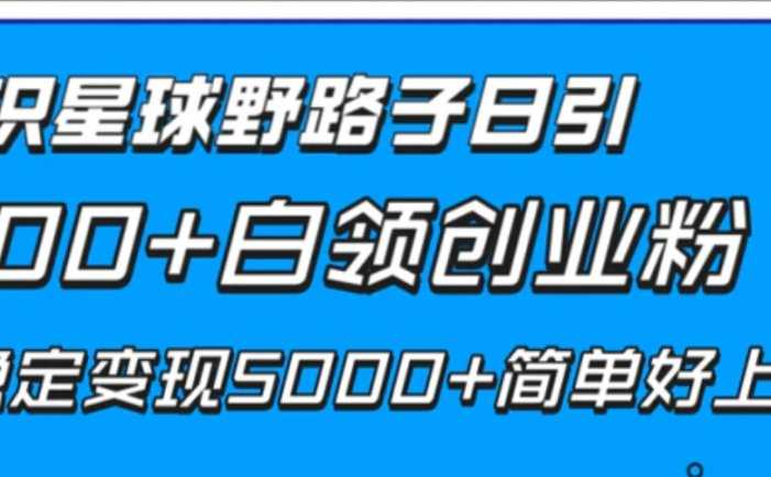 知识星球野路子日引300+白领创业粉，日稳定变现5000+简单好上手！