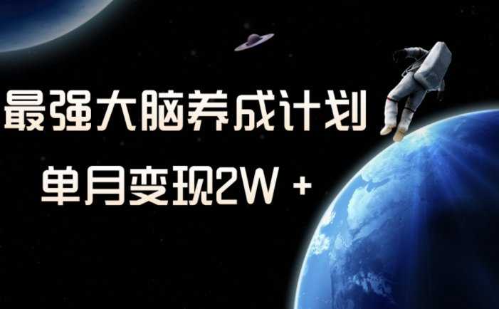 冷门虚拟项目，最强大脑养成计划，一个月变现2W＋