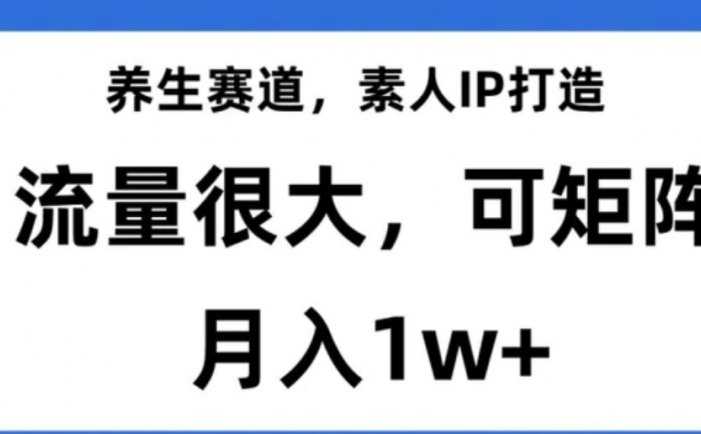 养生赛道，素人IP打造，流量很大，可矩阵，月入1w+【揭秘】