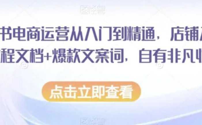 小红书电商运营从入门到精通，店铺入住全流程文档+爆款文案词，自有非凡收获